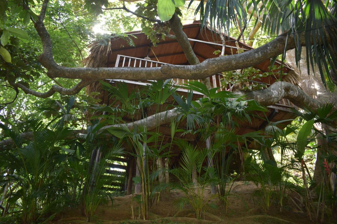 Ecohostal Rio Piedra El Zaino Buitenkant foto