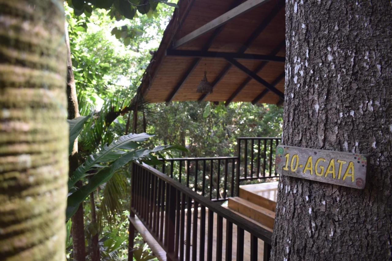 Ecohostal Rio Piedra El Zaino Buitenkant foto