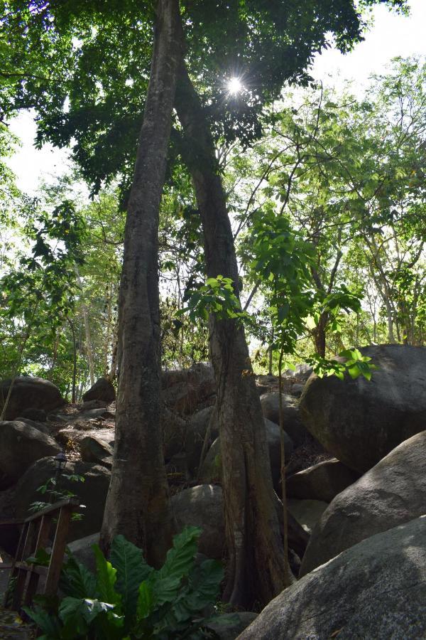 Ecohostal Rio Piedra El Zaino Buitenkant foto
