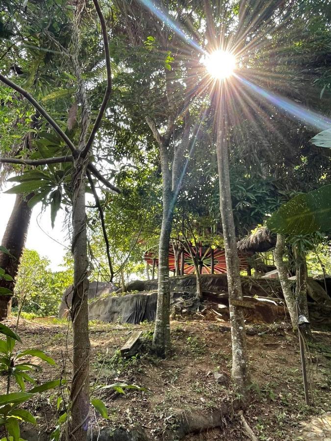 Ecohostal Rio Piedra El Zaino Buitenkant foto